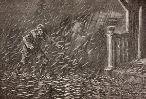 A Shower of Fish in Transylvania, Romania by English School